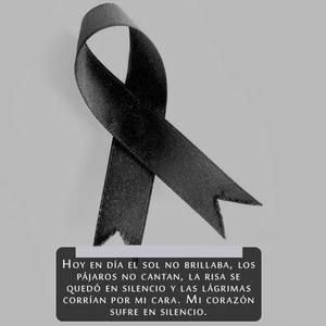 Meet your Posher, Bella